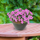 Sunnydaze Chalet Round Glazed Ceramic Planter with Drainage