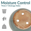 Sunnydaze Chalet Round Glazed Ceramic Planter with Drainage