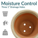 Sunnydaze Studio Round Glazed Ceramic Planter with Drainage