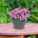 Sunnydaze Studio Round Glazed Ceramic Planter with Drainage
