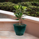 Sunnydaze Studio Round Glazed Ceramic Planter with Drainage