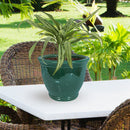 Sunnydaze Studio Round Glazed Ceramic Planter with Drainage