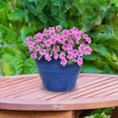 Sunnydaze Studio Round Glazed Ceramic Planter with Drainage