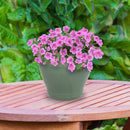 Sunnydaze Studio Round Glazed Ceramic Planter with Drainage