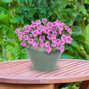 Sunnydaze Studio Round Glazed Ceramic Planter with Drainage