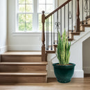 Sunnydaze Studio Round Glazed Ceramic Planter with Drainage