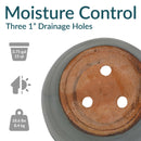 Sunnydaze Chalet Round Glazed Ceramic Planter with Drainage