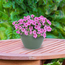 Sunnydaze Chalet Round Glazed Ceramic Planter with Drainage