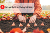 8 Do’s and Don’ts for Planting Fall Bulbs