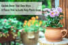 Garden Decor That Does More: 8 Pieces That Actually Help Plants Grow