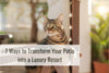 7 Ways to Transform Your Patio into a Luxury Resort