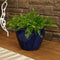 Sunnydaze Chalet Round Glazed Ceramic Planter with Drainage