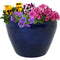 Sunnydaze Chalet Round Glazed Ceramic Planter with Drainage