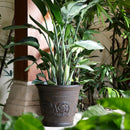 Sunnydaze Arabella Polyresin Large Round Outdoor Planter