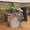 Sunnydaze Arabella Polyresin Outdoor Flowerpot Planter