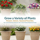 Decorative cream planters filled with a variety of flowers and greenery, highlighting seasonal planting options and a UV- and frost-resistant polyresin construction with a hand-painted weathered finish.