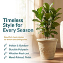 Tan decorative planter with a raised floral design holding a tall leafy plant indoors. Text highlights timeless style, indoor and outdoor use, durable polyresin, weather resistance, and a hand-painted finish.