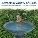 Sunnydaze Grecian Garden Reinforced Concrete Bird Bath - 20.25" H