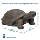 Sunnydaze Talia the Tortoise Garden Statue - 29" dimension image showing the overall measurements of the outdoor turtle statue. The garden statue measures 29.5 inches wide by 15.5 inches deep by 12 inches high overall. The decorative tortoise design adds a charming accent to gardens, yards, patios, and outdoor landscapes.