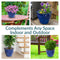 Sunnydaze Studio Round Glazed Ceramic Planter with Drainage