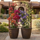 Sunnydaze Anjelica Polyresin Large Round Outdoor Planter