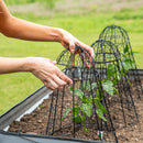 Sunnydaze Mesh Cloche Plant Protector with Removable Cover - 6-Pack