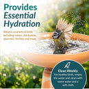 Infographic showing a bird splashing in a tan bird bath with text about providing essential hydration, attracting various birds, and cleaning the bath weekly.