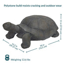 Large Concrete Tortoise Statue dimension image showing the overall measurements and details of the garden turtle statue. The concrete tortoise measures 15.5 inches wide by 30 inches deep by 11 inches high and weighs 26 lbs. The full length from the head to the end of the shell is 30 inches, with the shell measuring 23 inches long.