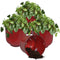 Sunnydaze Vivian Metal Outdoor Plant Pots - 11"
