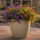 Sunnydaze Anjelica Polyresin Large Round Outdoor Planter