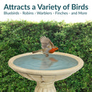 Sunnydaze Grecian Garden Reinforced Concrete Bird Bath - 20.25" H