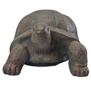 Sunnydaze Talia the Garden Turtle Statue Front Facing View