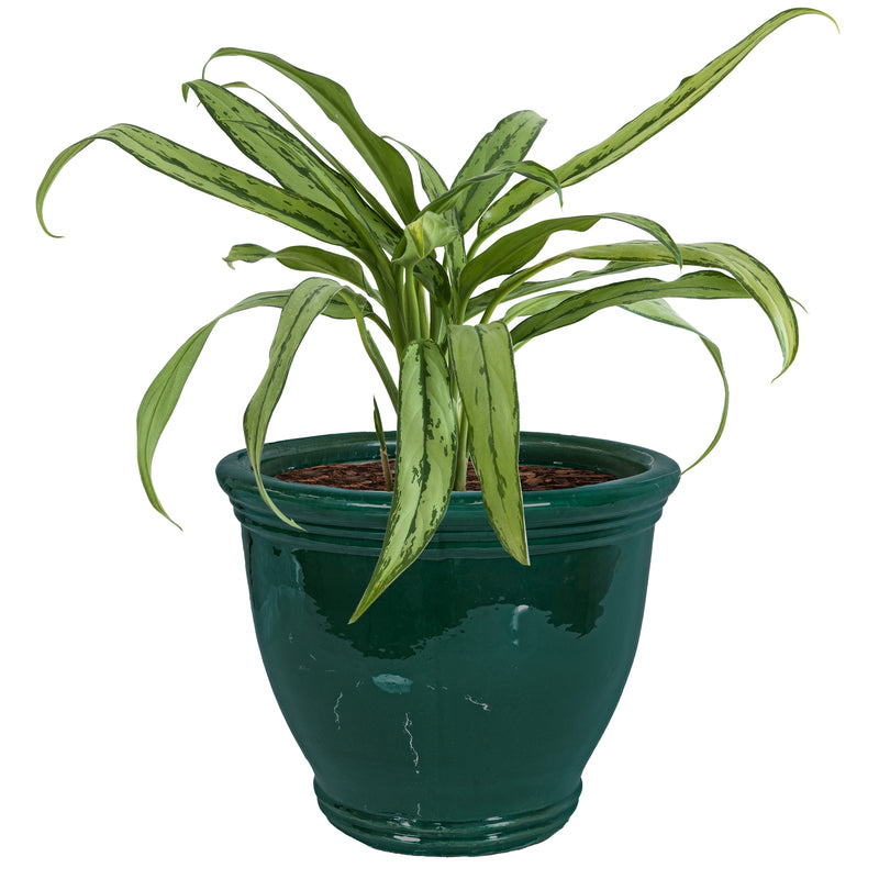 Sunnydaze Studio Round Glazed Ceramic Planter with Drainage