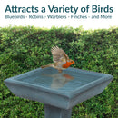 Sunnydaze Simply Square Modern Reinforced Concrete Bird Bath - 23"