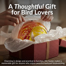 Sunnydaze Solar Bird Feeder with Glass Fly-Through Design