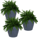 Sunnydaze Anjelica Polyresin Large Round Outdoor Planter