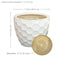 Sunnydaze 11.25" Ceramic Planter Set of 2 - White Honeycomb Pattern