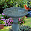 Sunnydaze Façade du Soleil Reinforced Concrete Bird Bath - 26"
