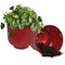 Sunnydaze Vivian Metal Outdoor Plant Pots - 11"