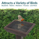 Sunnydaze Simply Square Modern Reinforced Concrete Bird Bath - 23"