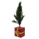 Sunnydaze Pretty Present Decorative Christmas Tree Stand - xx" Tall