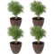 Sunnydaze Pebbled Round Outdoor Planter Pot - Dark Brown - 15.75"