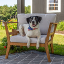 Sunnydaze Bodie Acacia Armchair with Cushions - Club Chair for Patio - Bone White Cushions