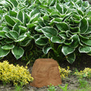 Sunnydaze Polyresin Landscape Rock Cover with Stakes