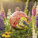Sunnydaze Solar Bird Feeder with Glass Fly-Through Design